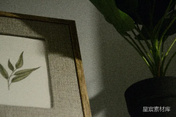 高清摄影 装裱的植物插画旁边是一盆植物。