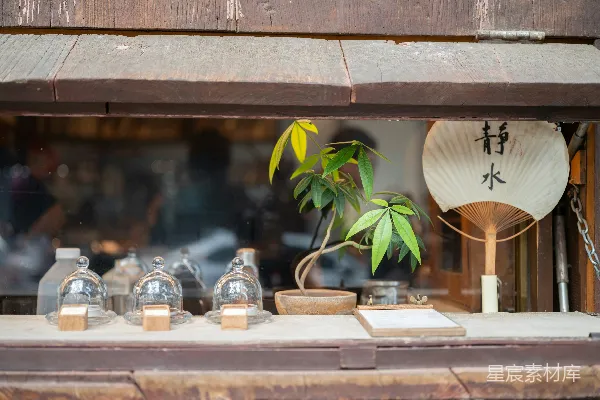 高清摄影 窗台上展示了日本扇子和植物。