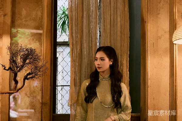高清摄影 身穿复古连衣裙的女子在窗边
