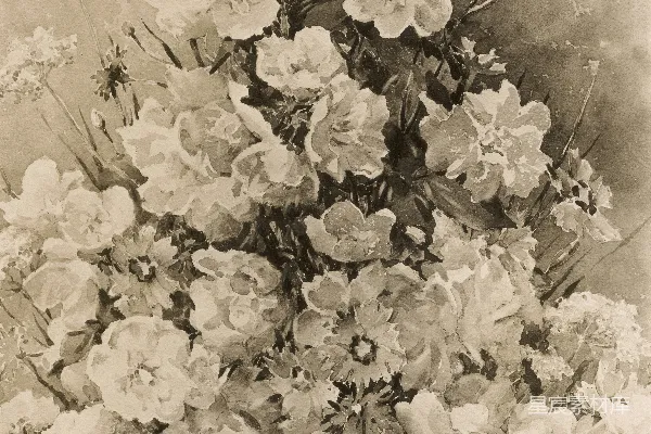 一幅黑白照片中的花束