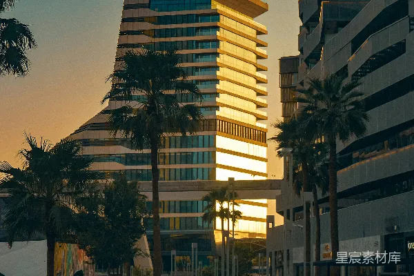 高清摄影 金色的夕阳照亮了现代化的建筑和棕榈树。
