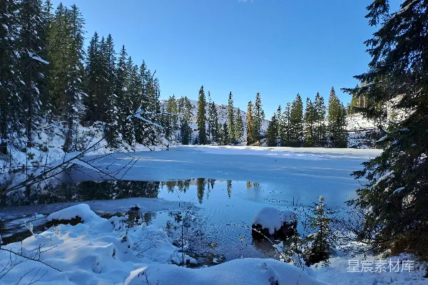 一个被覆雪树木环绕的小湖
