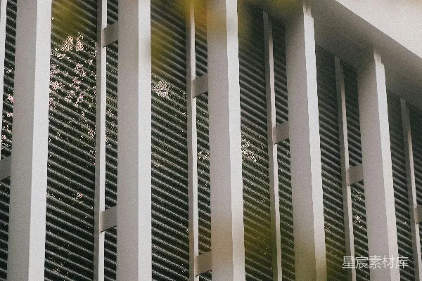高清摄影 现代建筑的外墙上有垂直的白色百叶窗。