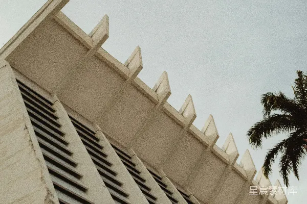 高清摄影 现代化建筑，几何屋顶和棕榈树