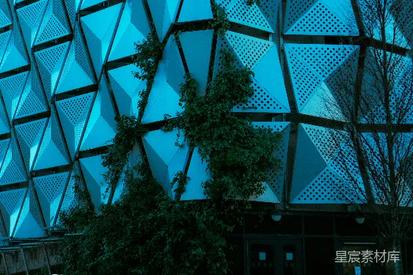 高清摄影 现代建筑立面，带有几何图案和藤蔓。