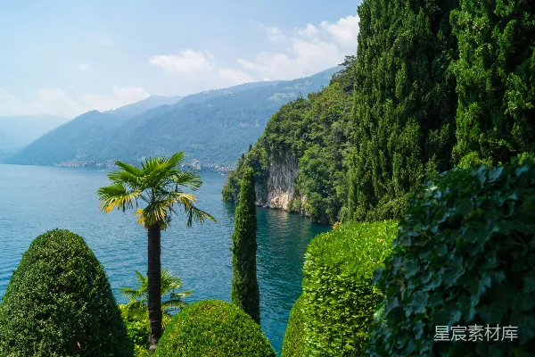 绿叶丛中的悬崖与海景 landscape
