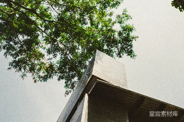 高清摄影 当代建筑结构在树下与天空相映。