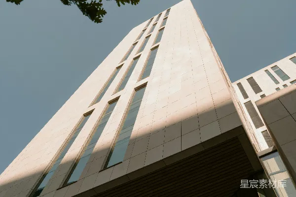 高清摄影 当代建筑外墙延伸至天空，树枝交织其间。