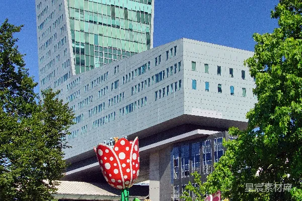 高清摄影 一座建筑前的龙和花朵雕塑