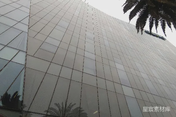 高清摄影 现代玻璃建筑，棕榈树倒影。