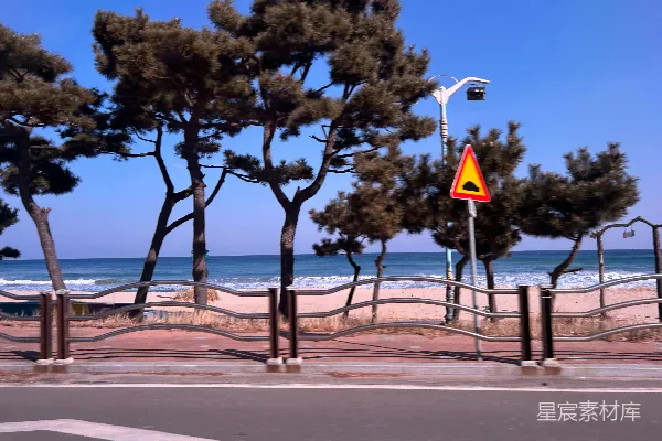 海滩场景中有树木和一条道路。