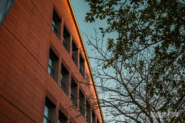 高清摄影 带有大窗户和树木的现代建筑
