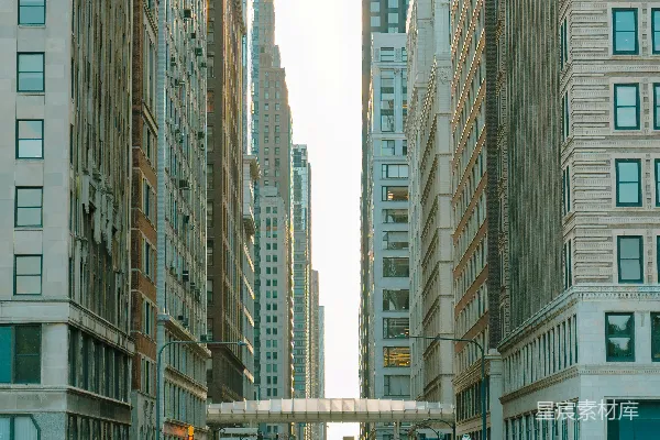 高大的建筑物排列在繁忙的城街两旁，花儿点缀其间。