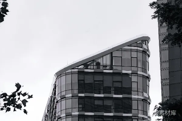 高清摄影 一张黑白照片，展示了一座高大的建筑。