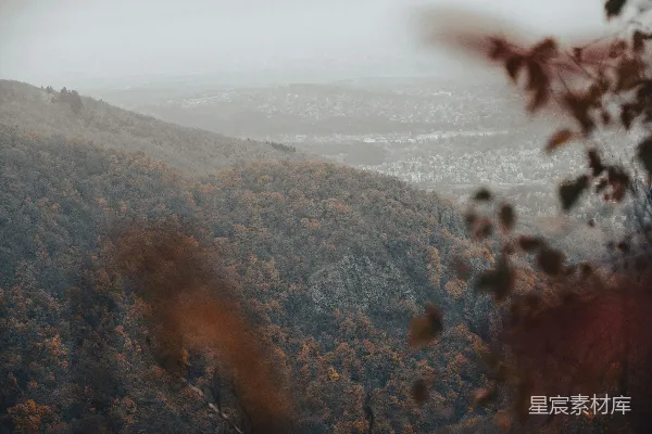秋天森林风景，远处小镇景色