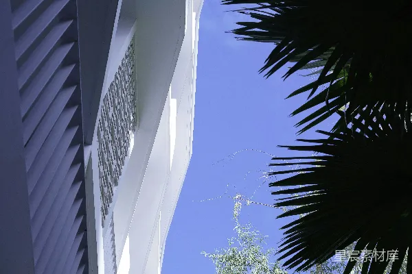 高清摄影 现代化的白色建筑，周围有棕榈叶，天空湛蓝。