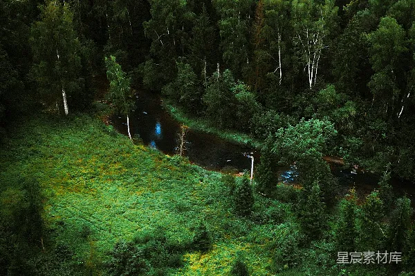 森林中的河流