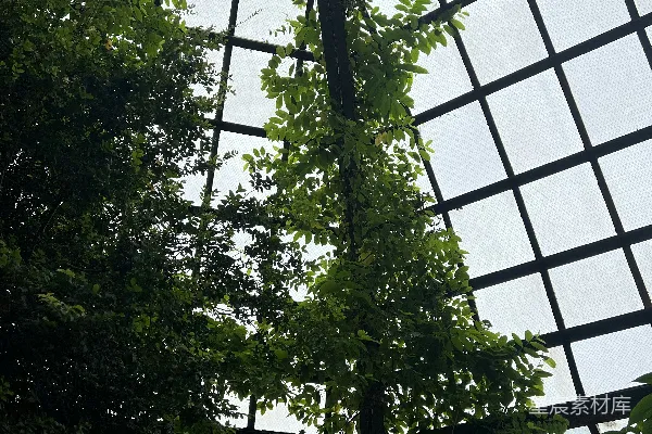一座玻璃和金属结构的内部景象