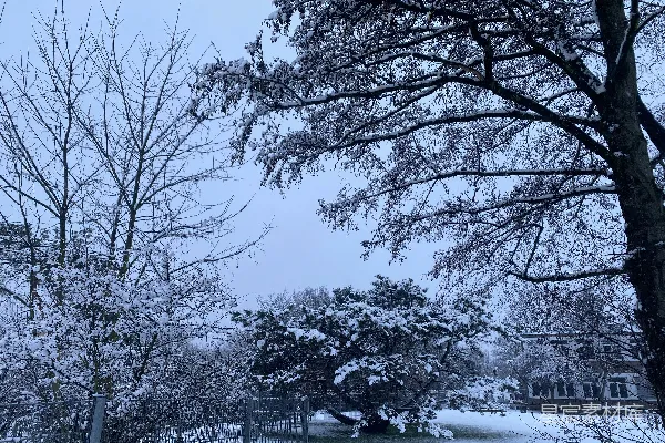 覆盖着白雪的公园里有树木和栅栏