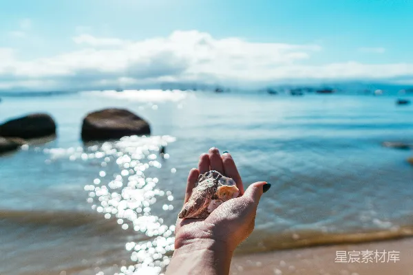 白天一个人手持棕色和白色石头靠近水体旁边