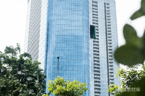 高清摄影 白天高耸建筑旁的绿树