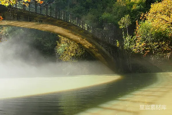 水边一棵树环绕的桥