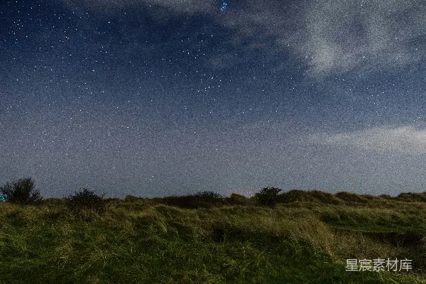 一片草丛中的夜空下繁星点点