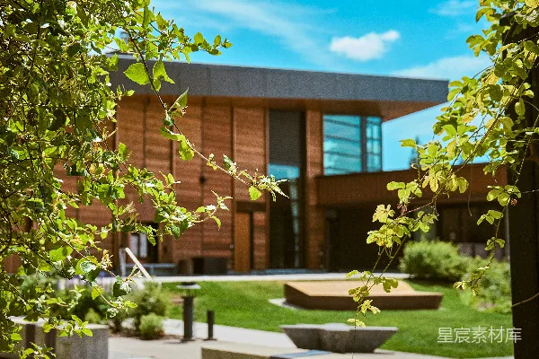 高清摄影 现代木制建筑，前方有绿色草坪和前景植被。