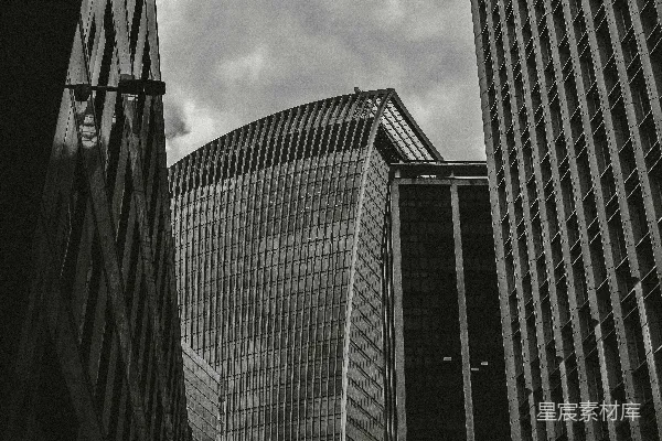 高清摄影 一张黑白照片，展示了几座非常高的建筑物。