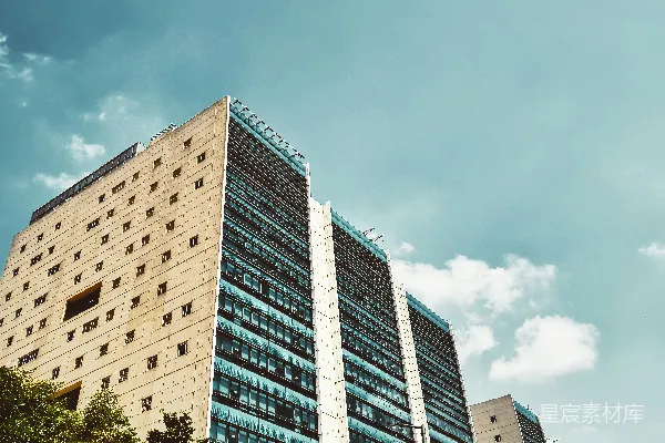 高清摄影 现代办公楼矗立在郁郁葱葱的绿树之上。