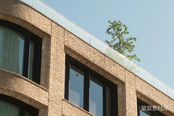高清摄影 现代砖砌建筑，带有大窗户和屋顶树木