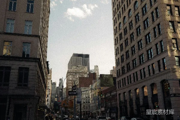 一条街道上林立着高大的建筑物，在阴云密布的天空下。