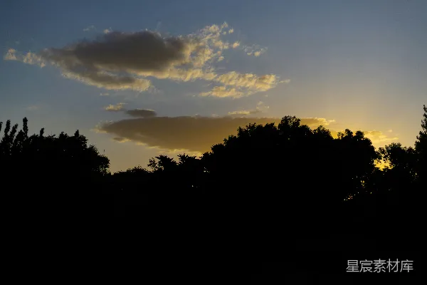 夕阳落在一些树后