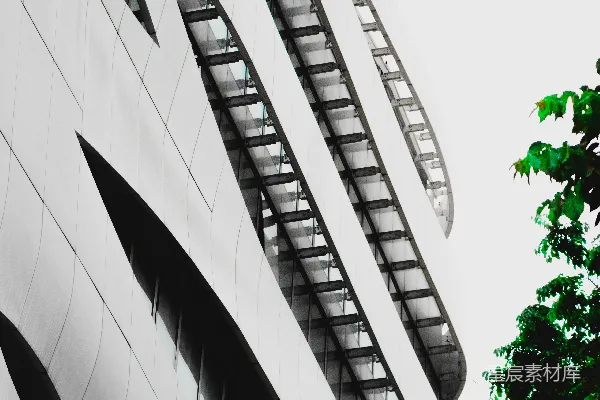 高清摄影 白天绿树旁的白色混凝土建筑