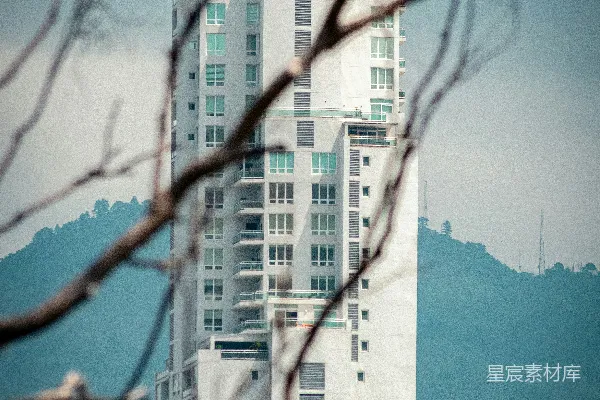 高清摄影 现代高层建筑被模糊的树枝和远处的山脉环绕。