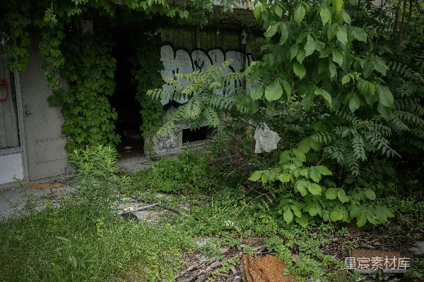 荒废的建筑上长满了杂草，覆盖着涂鸦，散落着废弃物。