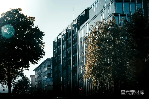 高清摄影 一座高大的建筑坐落在一片树林旁边。