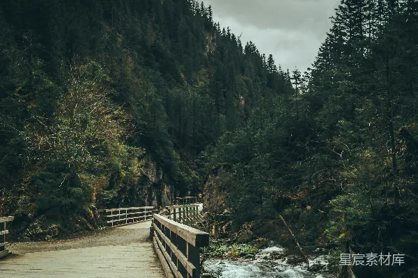 森林中一座木桥横跨一条奔流的河流