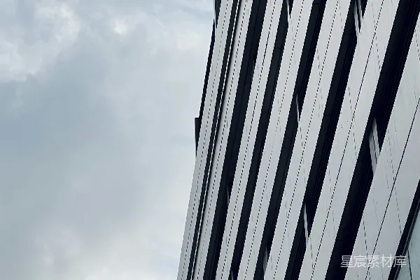 高清摄影 鸟儿在建筑物附近飞翔