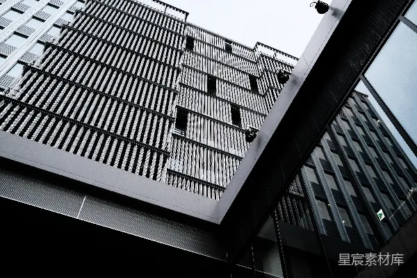 高清摄影 一张黑白照片，展示了一座高大的建筑物。