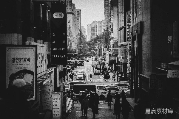 灰度照片中的汽车在路上，位于建筑物之间