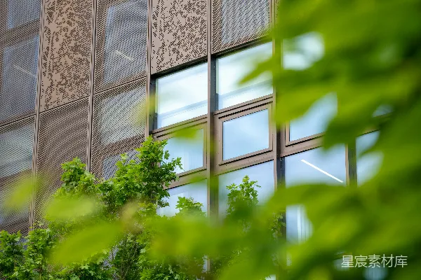 高清摄影 现代建筑的外观透过绿叶看到
