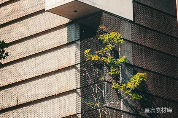 高清摄影 现代建筑，阳台上有一棵树生长着。