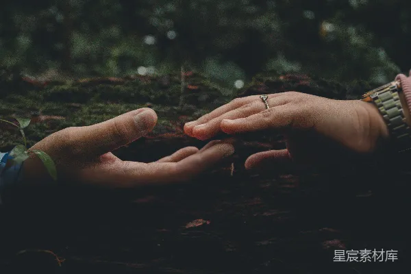 人的手放在褐色的土壤上