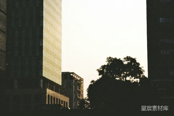 高清摄影 现代建筑与树木在明亮的天空下相映成趣。