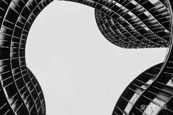 高清摄影 一张黑白照片，展示了一座高大的建筑物。