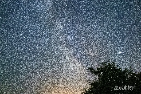 星夜下树木的轮廓