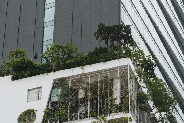 高清摄影 现代化的白色建筑，屋顶花园绿意盎然。