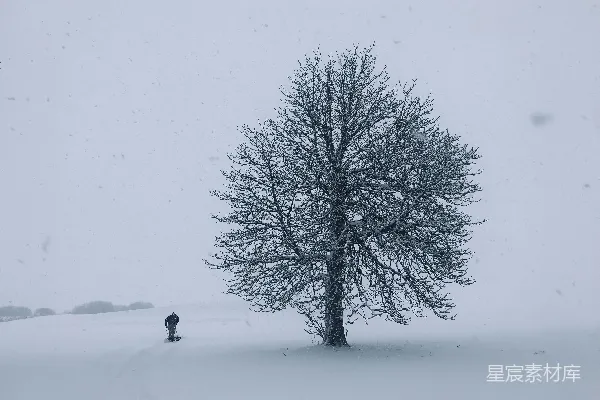 一个人站在树旁，在雪中。