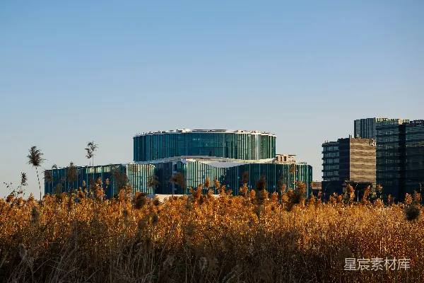 高清摄影 现代玻璃建筑在干燥的草地上